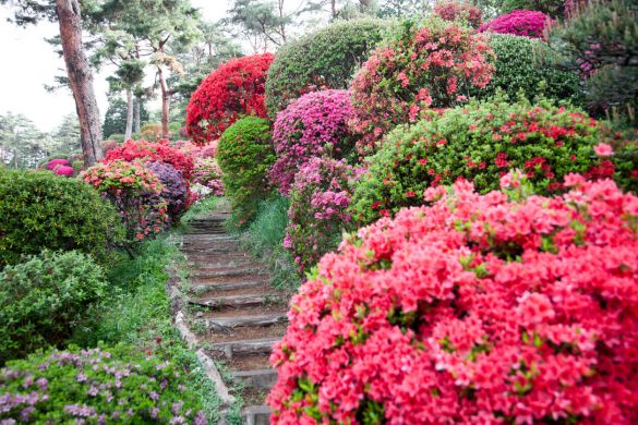 Decora escaleras