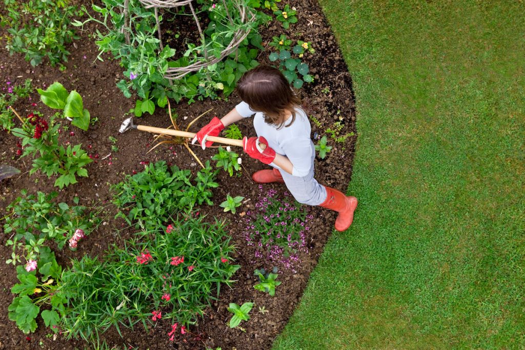 Ideas de jardinería