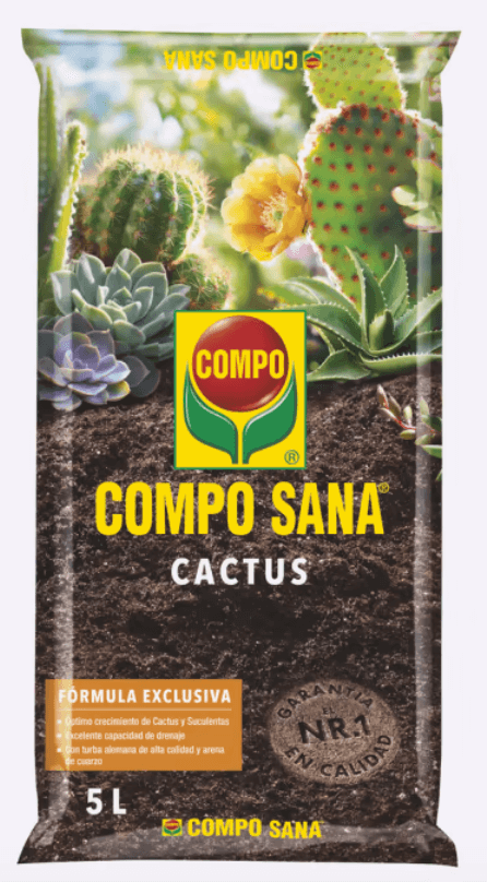 compo cactus